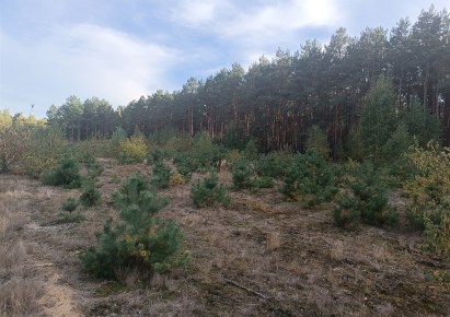 działka na sprzedaż - Włocławek (gw), Kosinowo